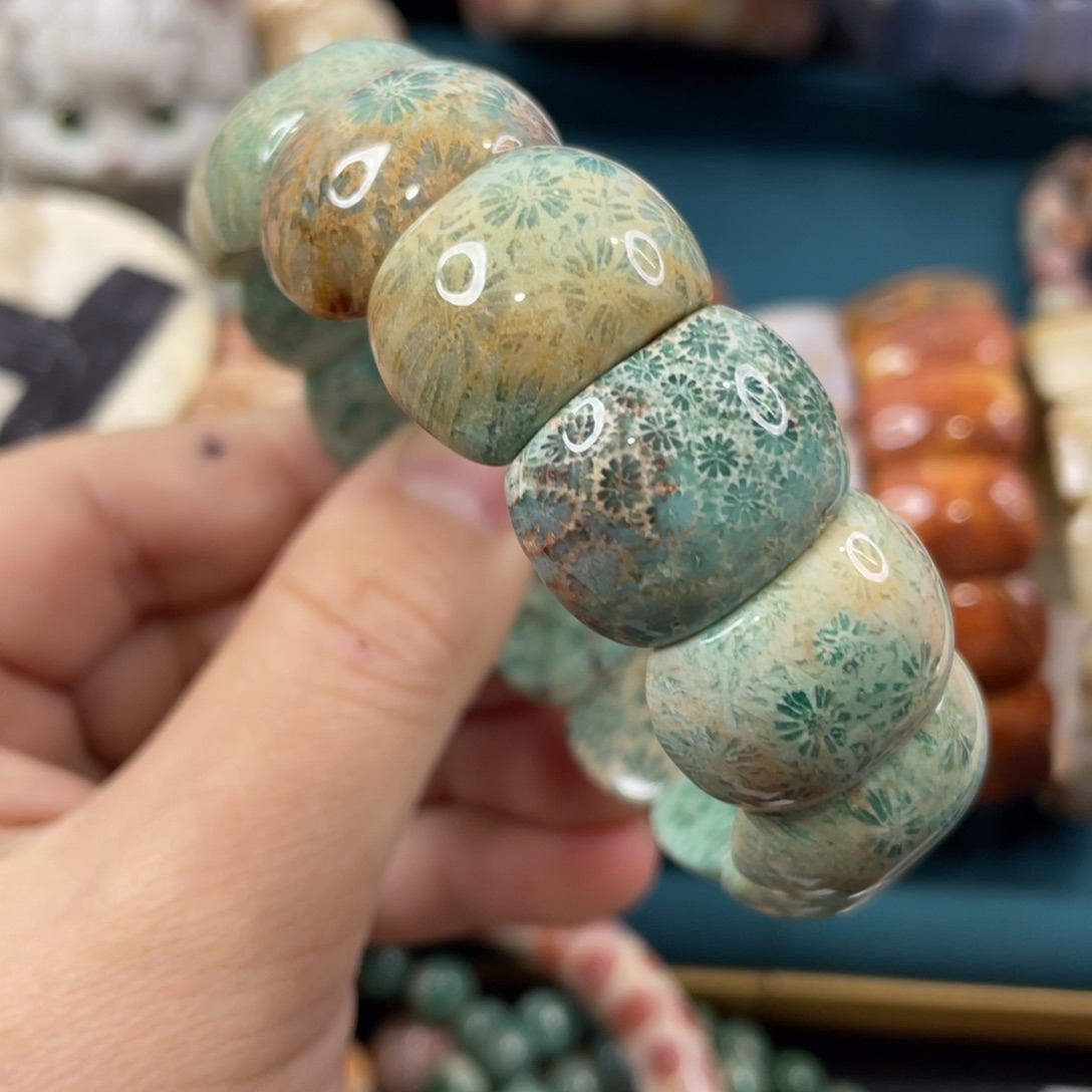 未镶嵌手镯硅化玉