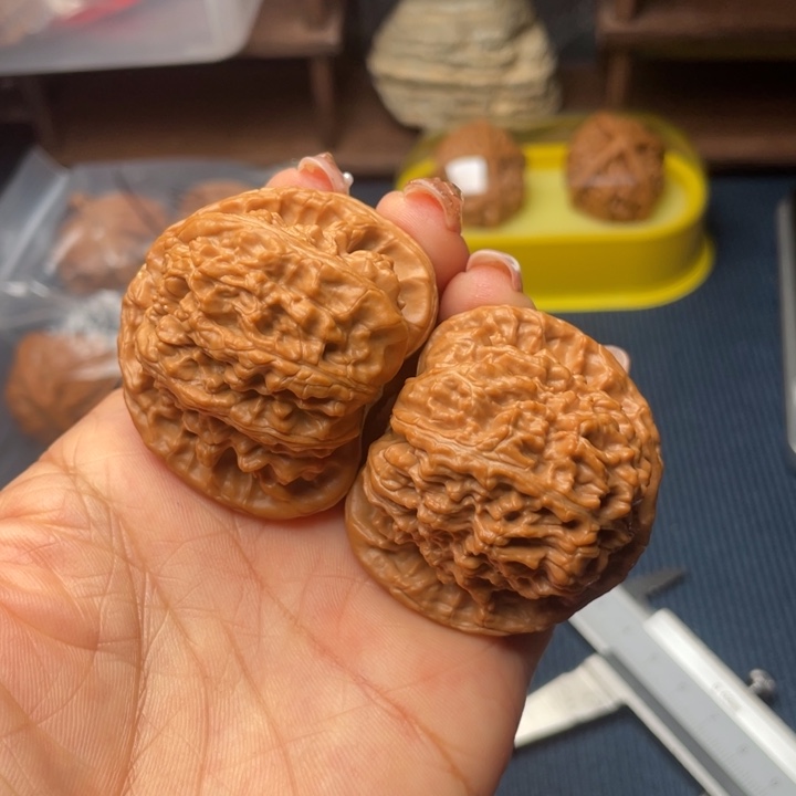 核桃43白狮子888888