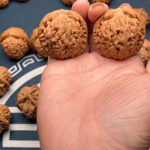 橄榄核手串/手链莲花全品37