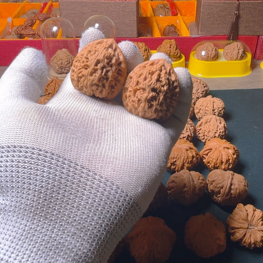 文玩核桃把件苦*水龙38