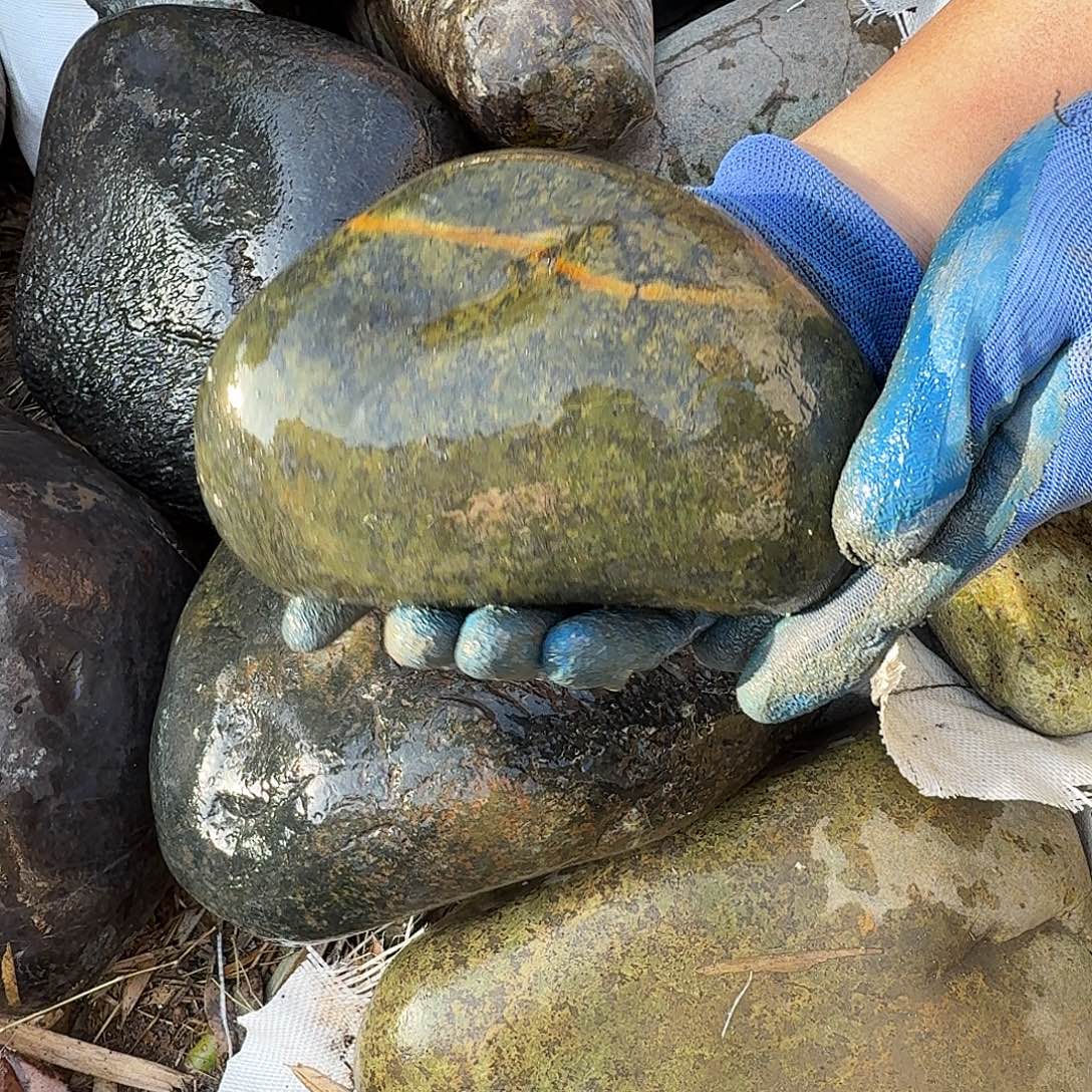 哈***喽蛇纹石玉未镶嵌天然原石摆件藏玉西藏