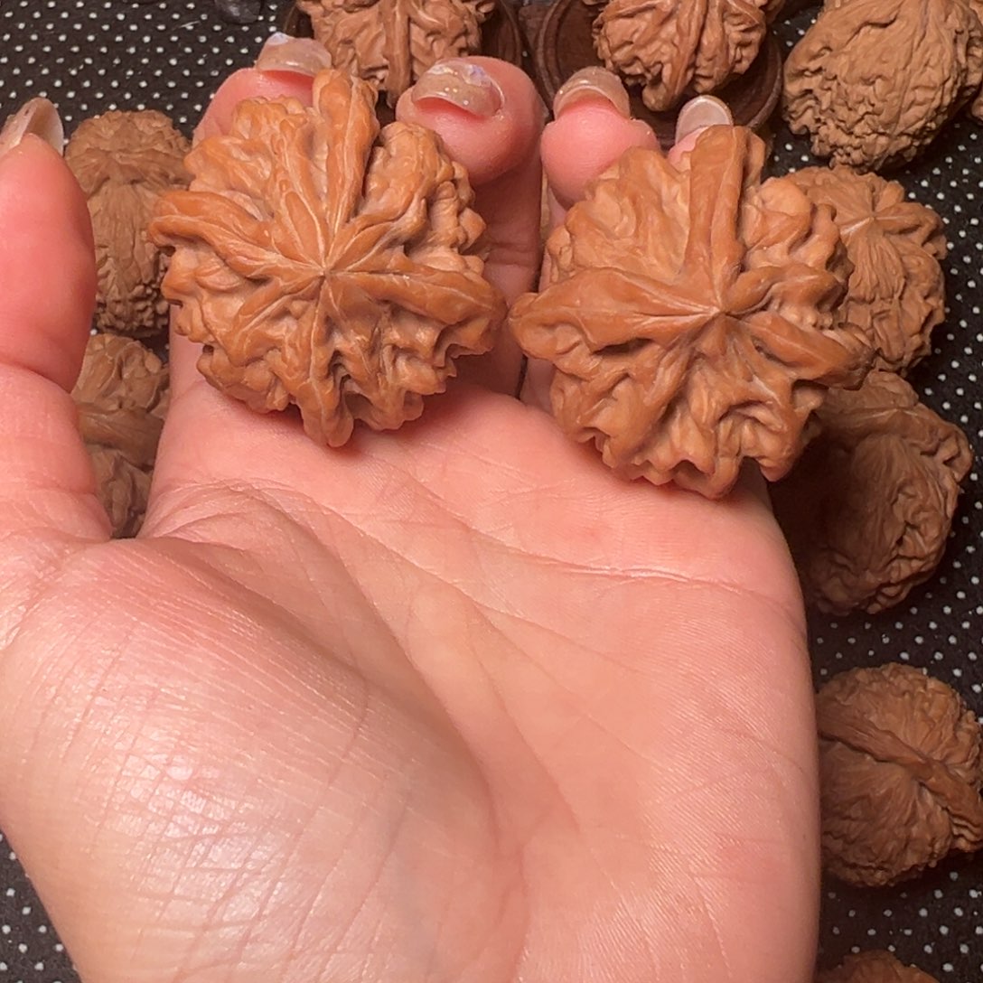 洋***钉曹大龙，1314，全品无修，42