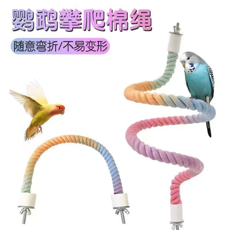 鹦鹉鸟攀爬景绳随意折弯