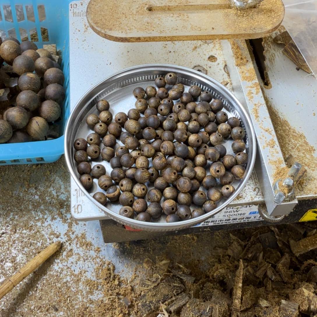 ?****高油脂海南陆河品种06多圈13.9克