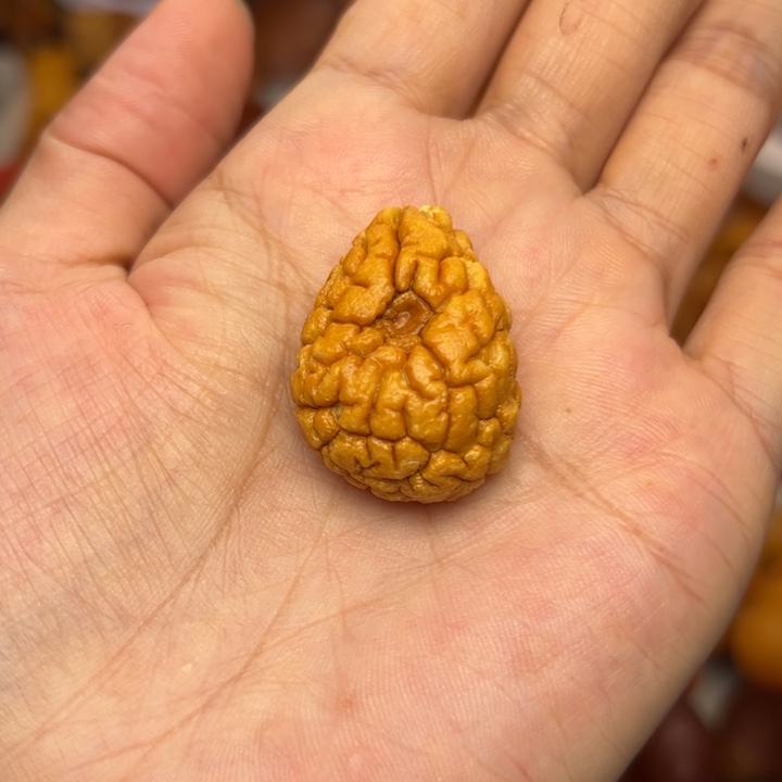 琥珀颈饰未镶嵌天然蜜蜡