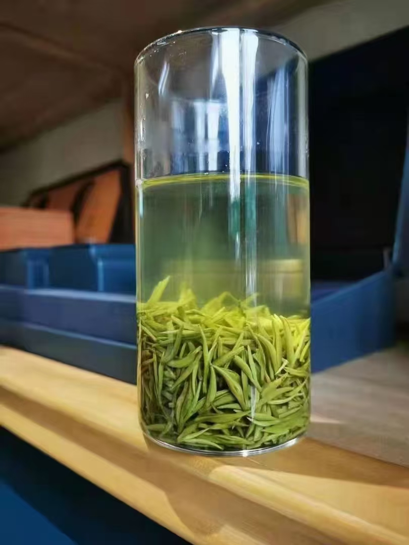 2025信阳毛尖明前头采精品芽头/集云山高山绿茶核心产区