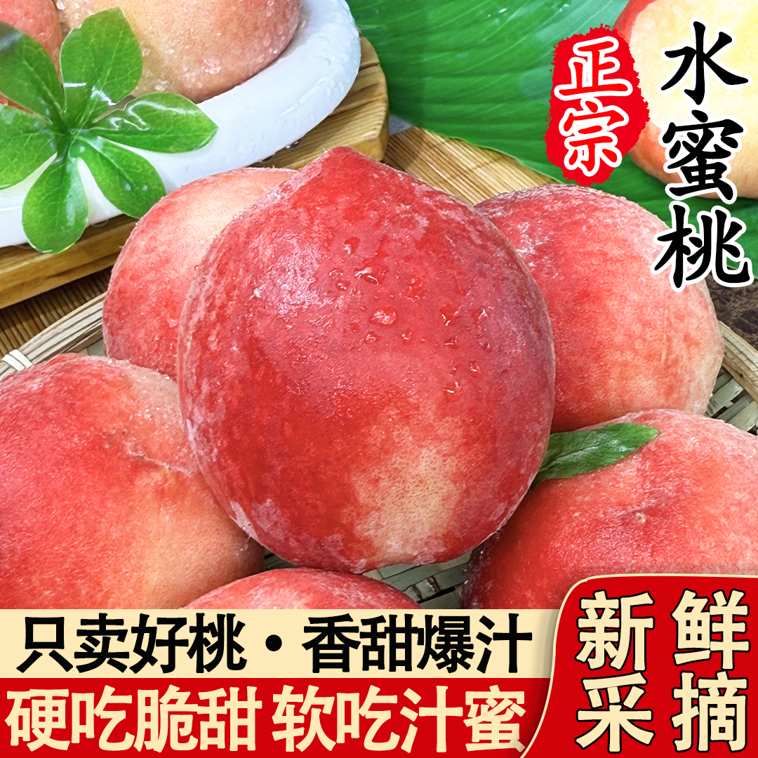 【现摘现发】正宗水蜜桃脆软两吃新鲜采摘应季水果产地直发坏果包赔