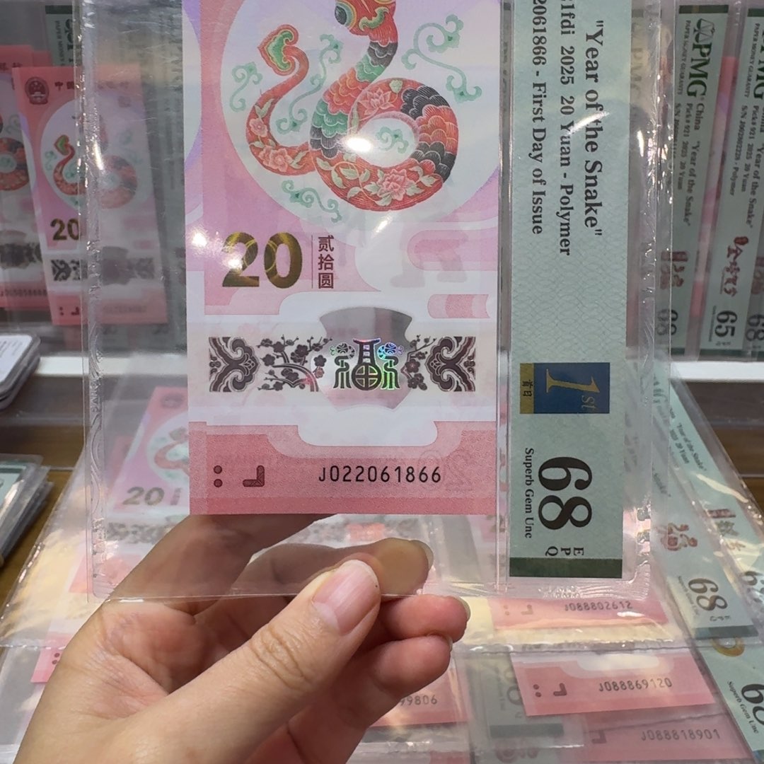 塑料蛇钞J022061866