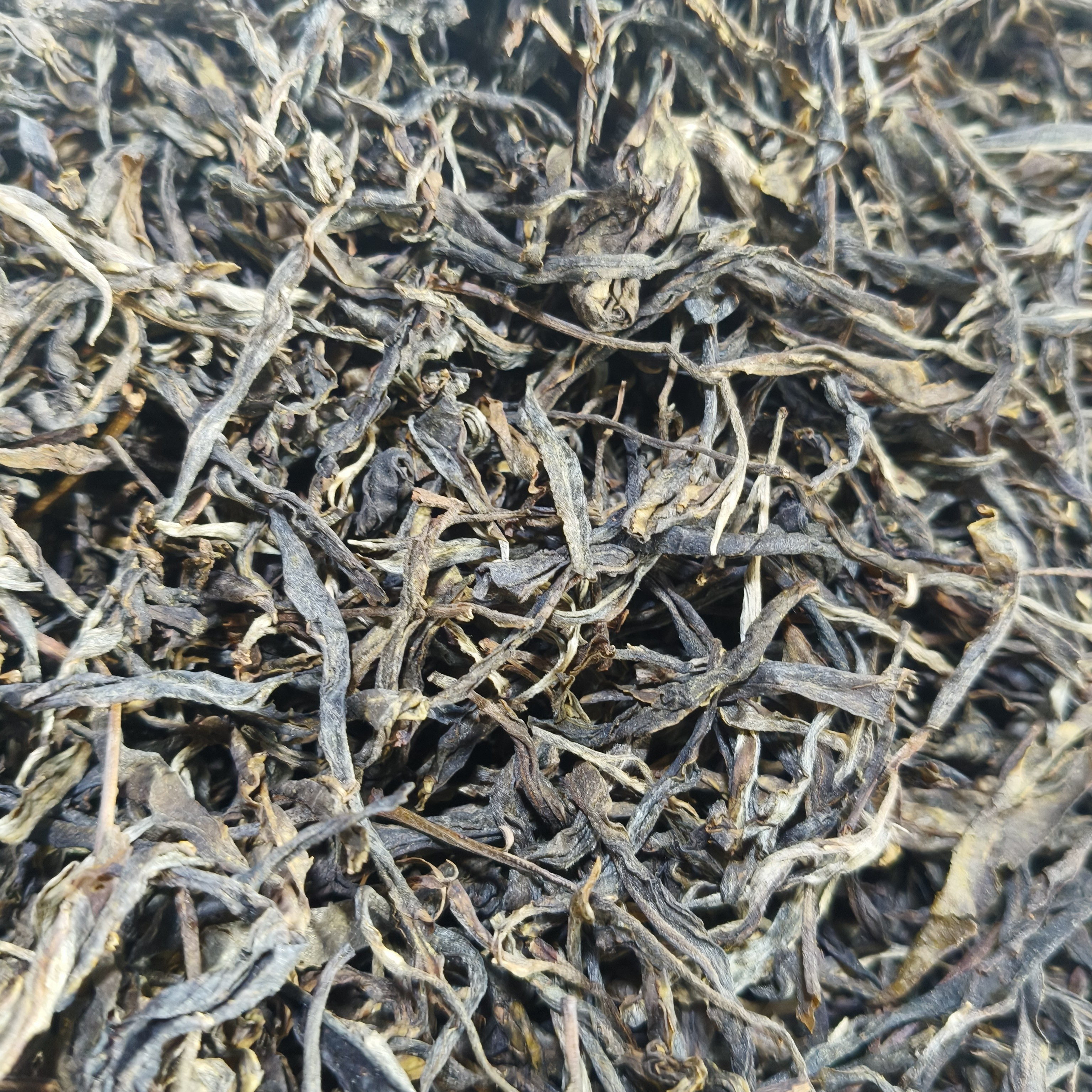 正宗晒青茶（头春头采古树）