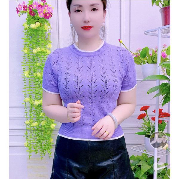 圆领短袖夏季女镂空薄款毛针织衫针织衫高质感穿搭上衣百搭