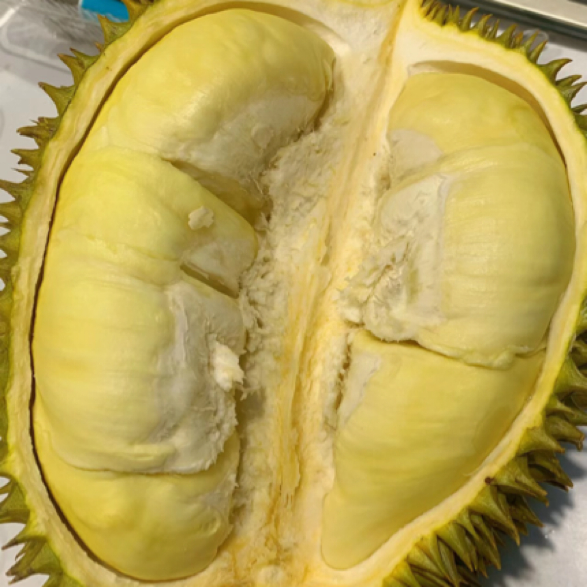 金枕树熟鲜榴莲A果（一物一拍）斤（核小）金枕泰国