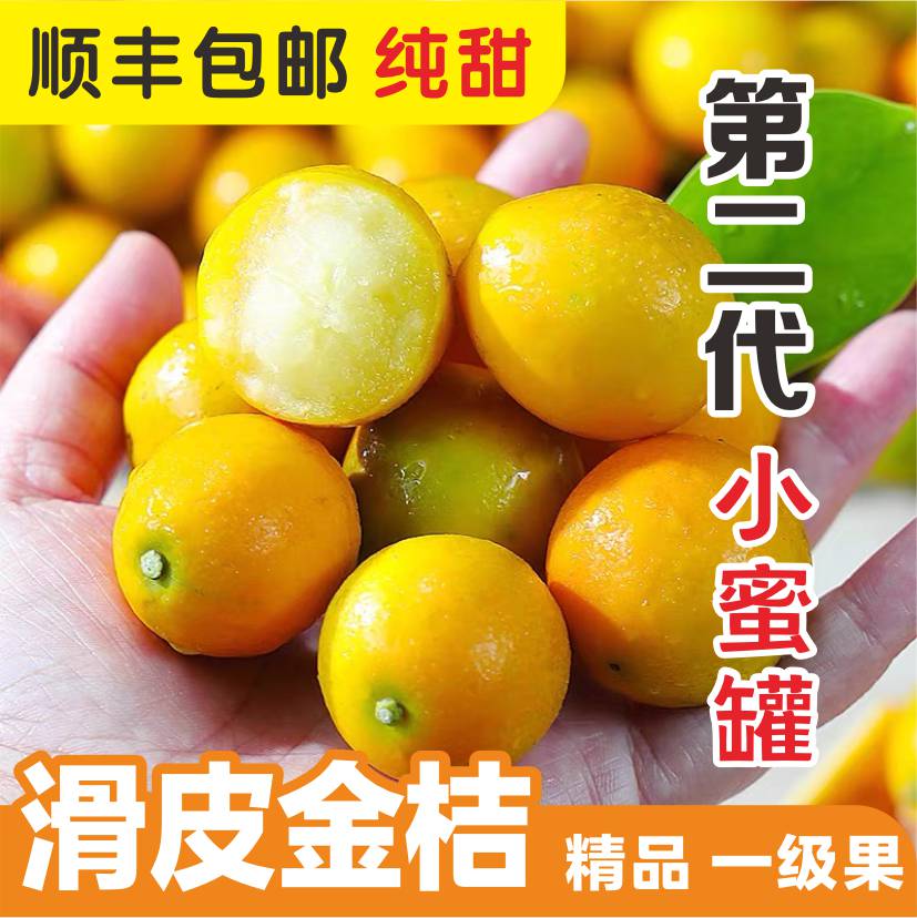 【二代滑皮】果三姐广西融安金桔脆皮滑皮小蜜罐现摘现发新鲜顺丰