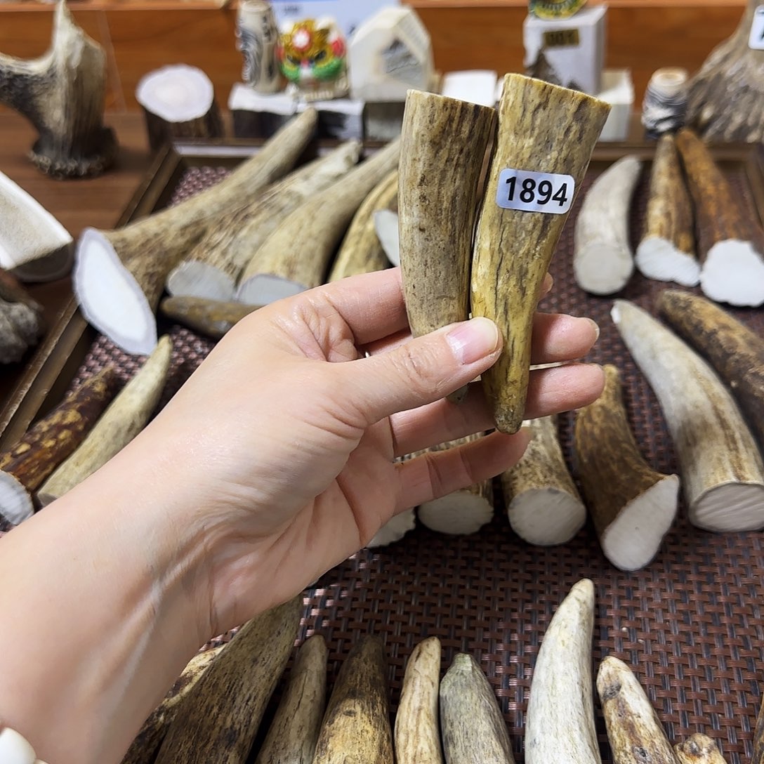 鹿骨手串/手链1894角尖