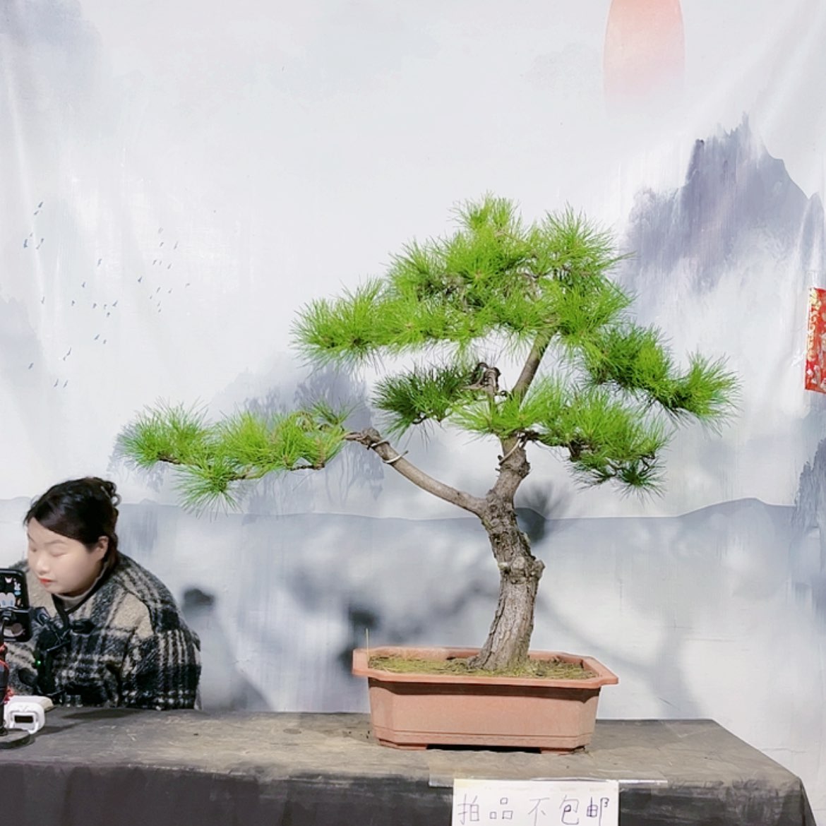 【闪购商品】无花朵运费到付