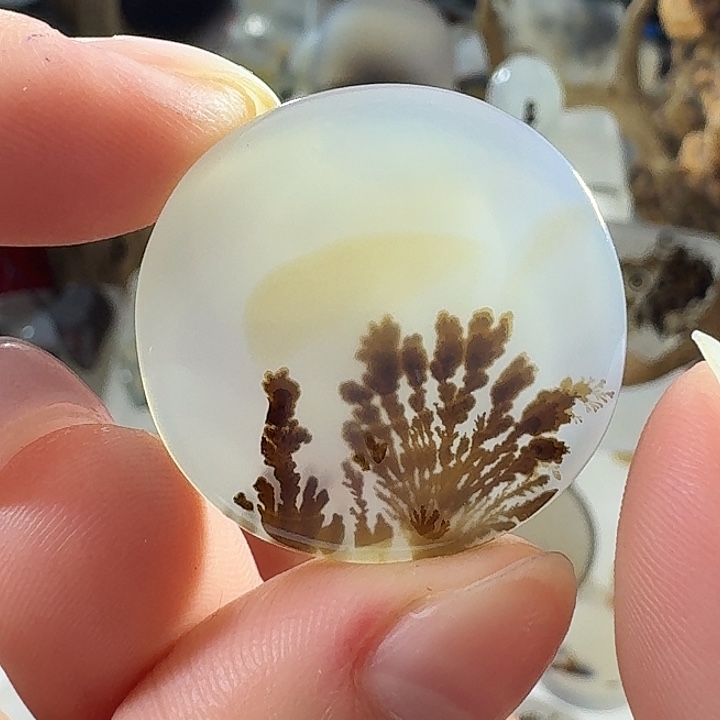 玛瑙/玉髓未镶嵌珠宝奇石