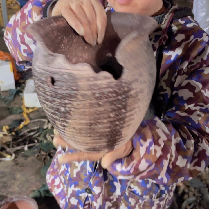 透气紫砂花盆 口径 高度