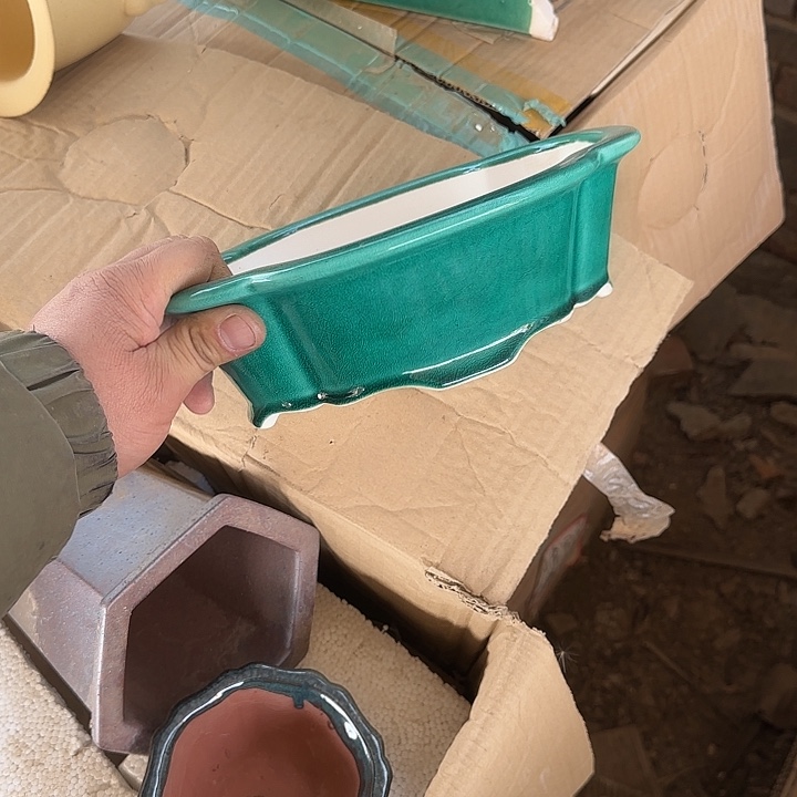 这一期太有意思咯好棒好可爱呀太喜欢