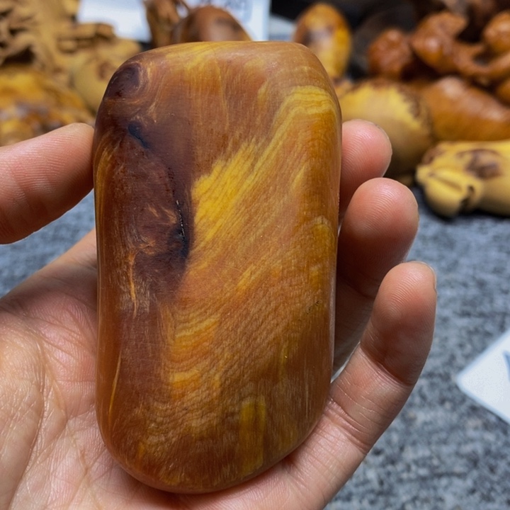 柏木（崖柏）崖柏21