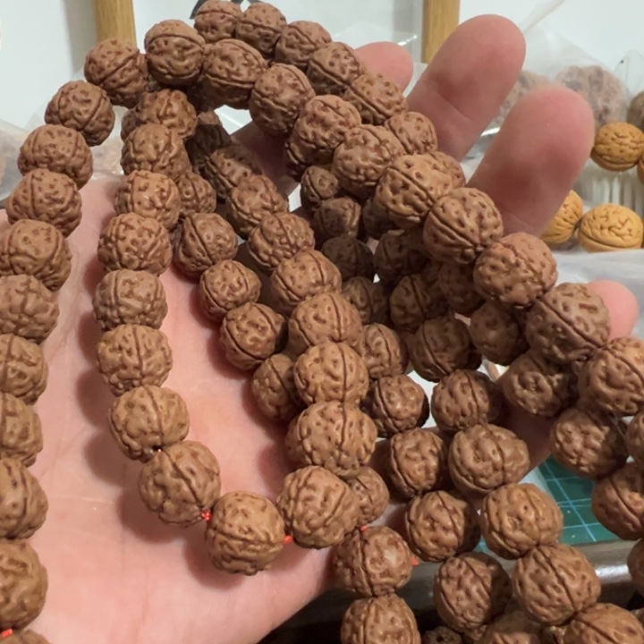 暴肉金刚哈哈哈哈哈哈