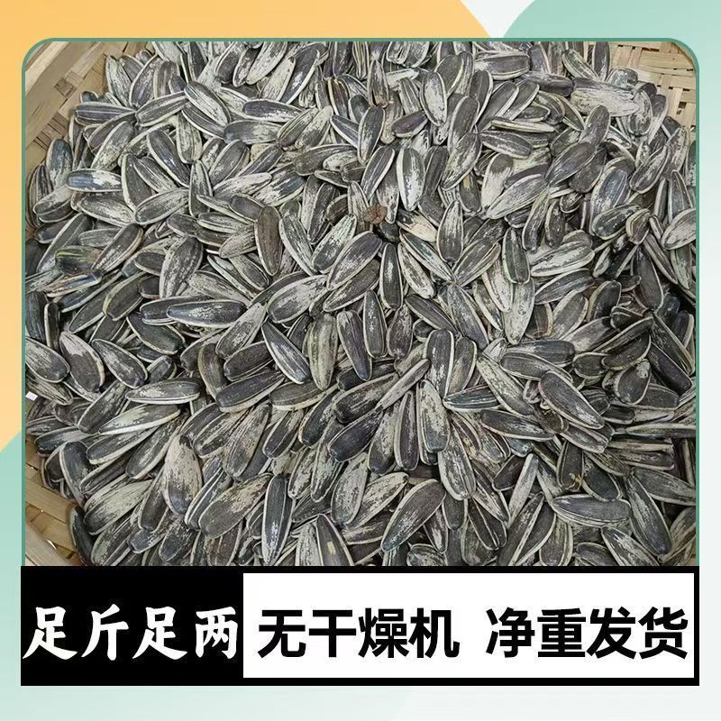 批发新生瓜子葵花籽内蒙新鲜正宗原味年货零食