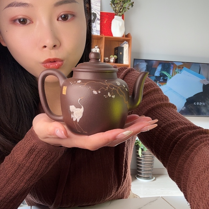 灯***珊茶壶紫砂111111111111111111