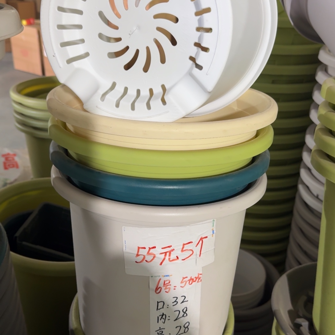 四季6#口径32无拖果绿10个