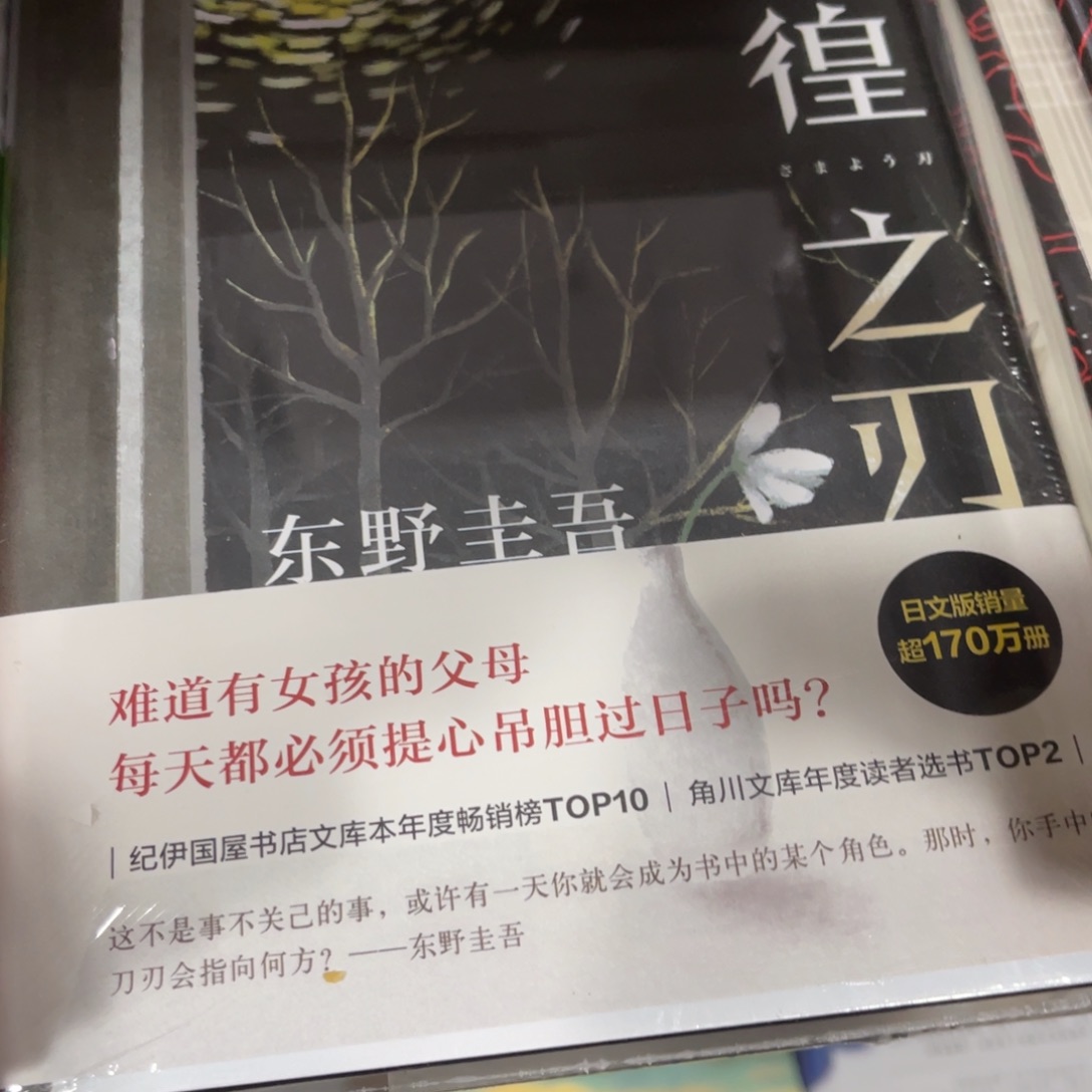 用***2彷徨之刃精装一个