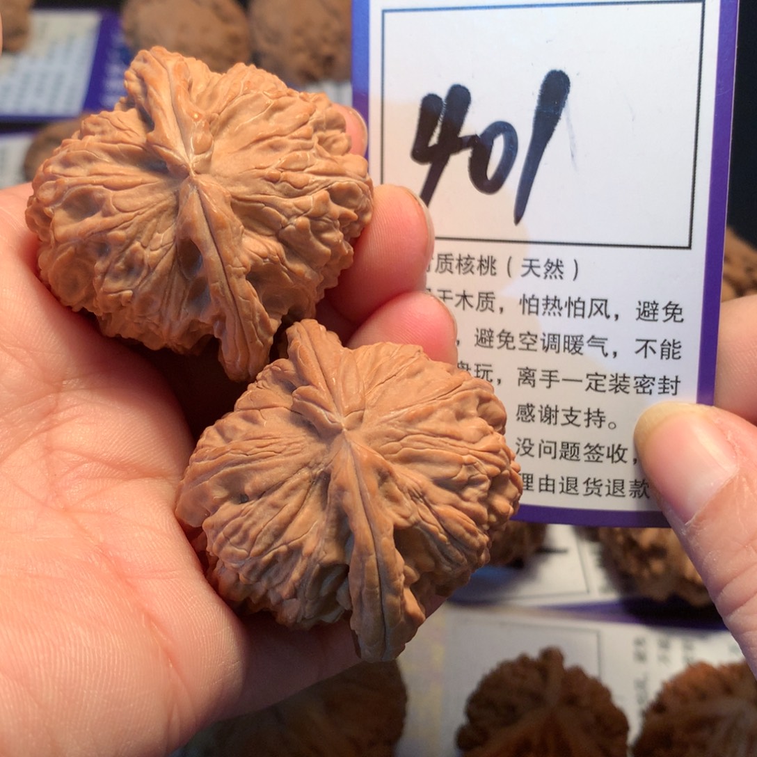 大***文核桃401白狮子4.3全品