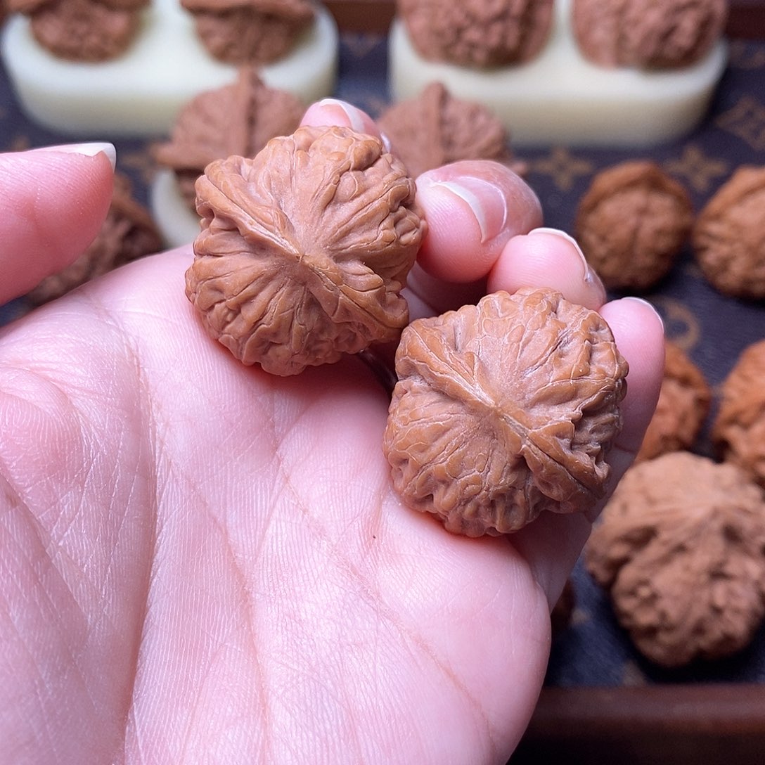 木质类全品野生小莲花30尺