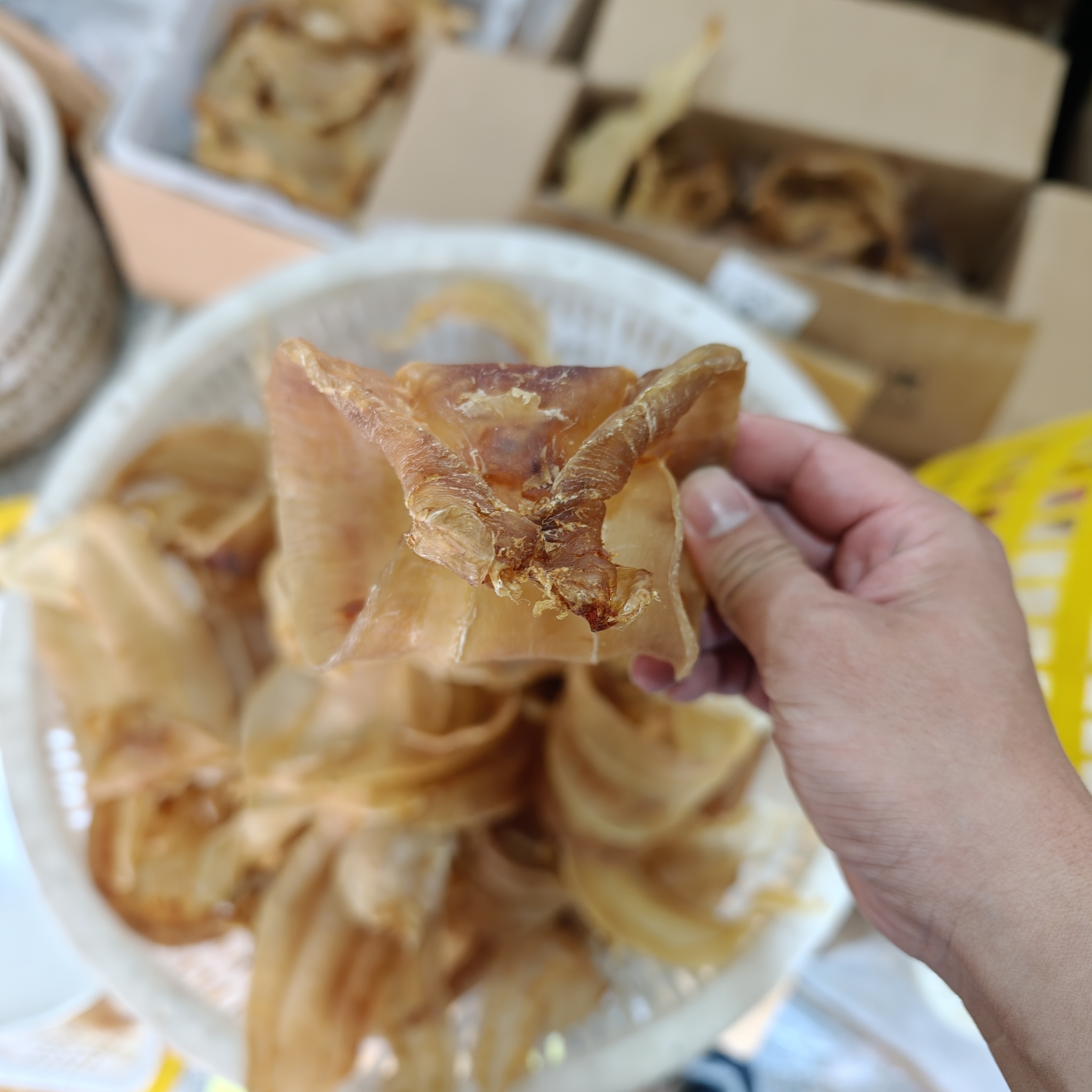直播间专用土鳘鱼胶干货海产品鳘鱼鳔花胶现称现卖深海滋补干货
