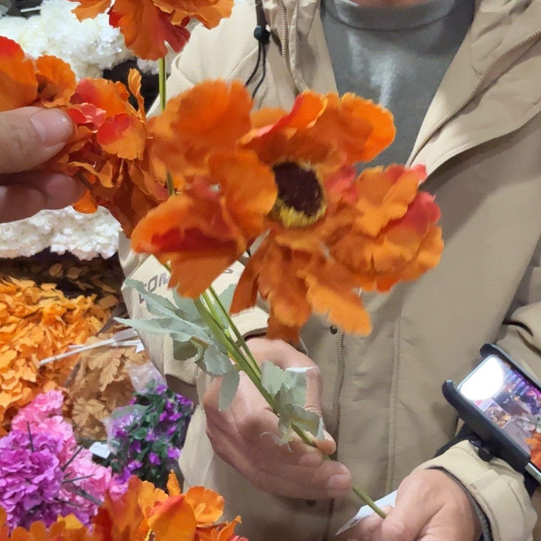 422号太阳花多头花