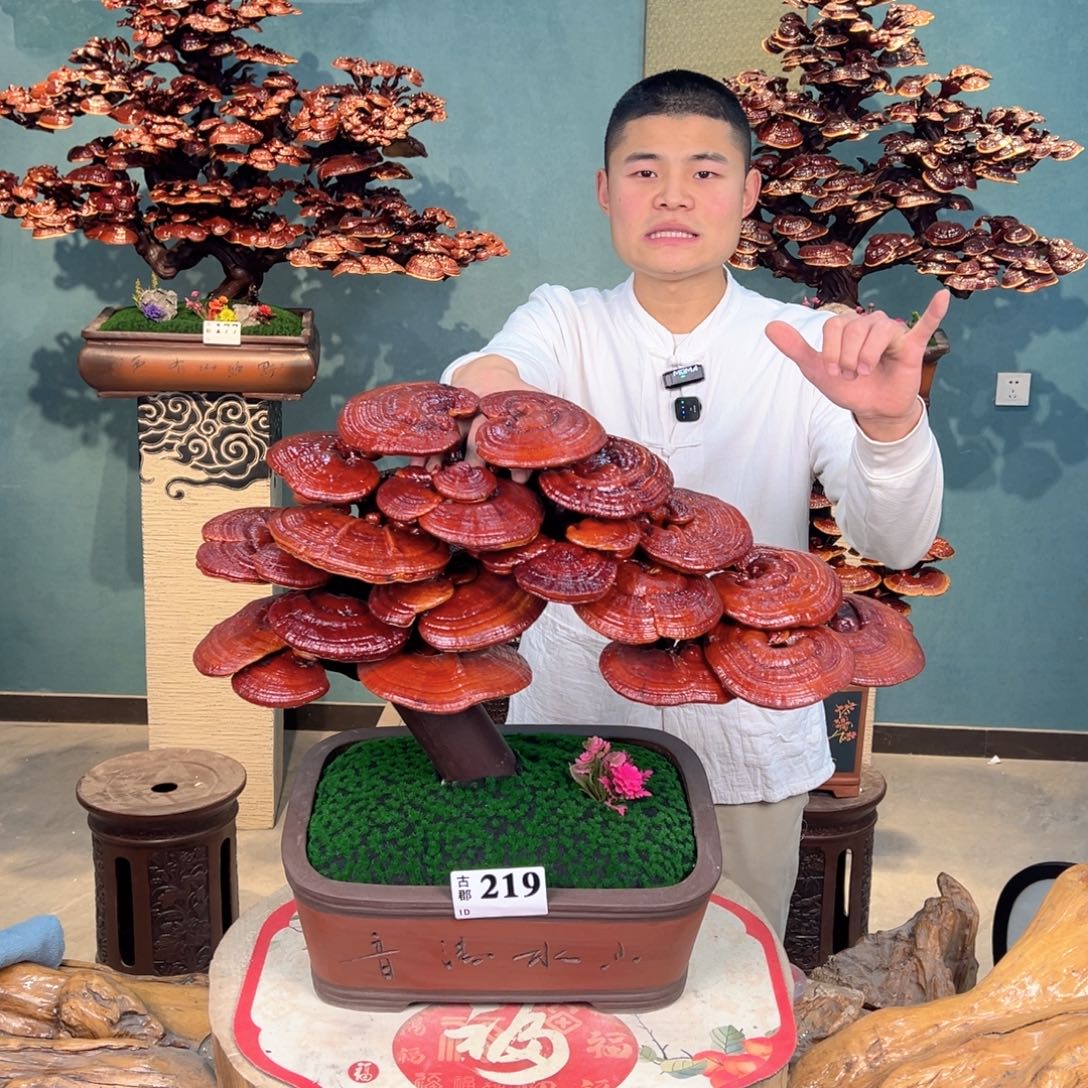 无花朵888888888888