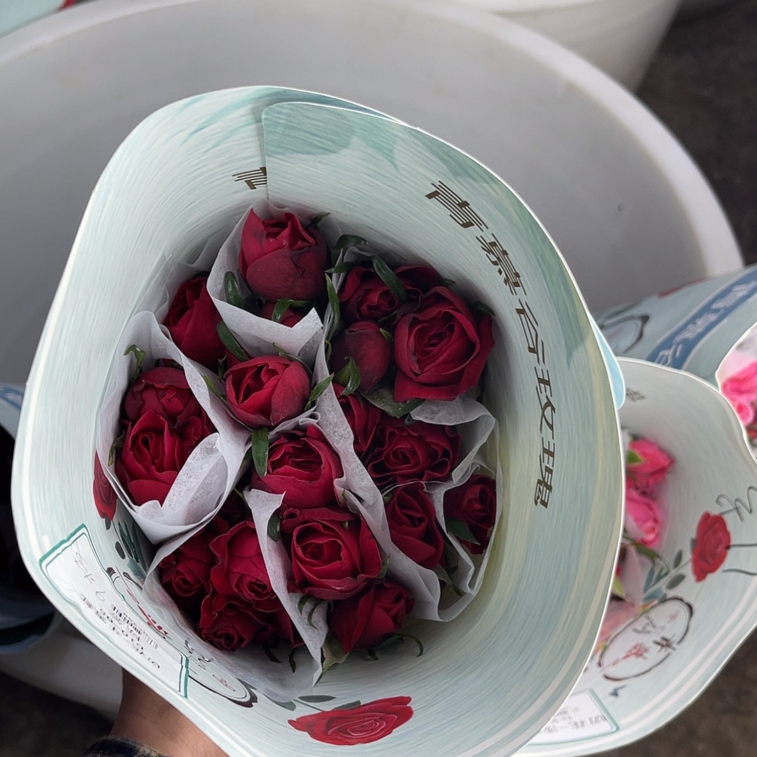 完全开放青幕谷（斗红雪）一扎