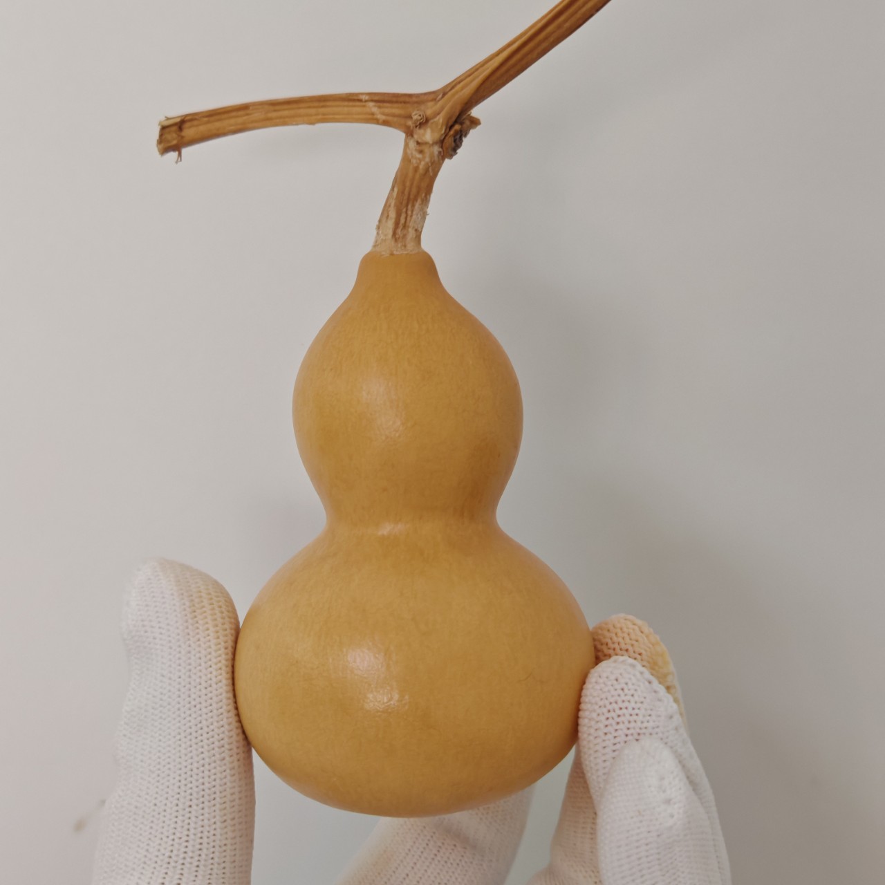 直播间专用链接-不保龙头 天然文玩葫芦一物一价一物一图