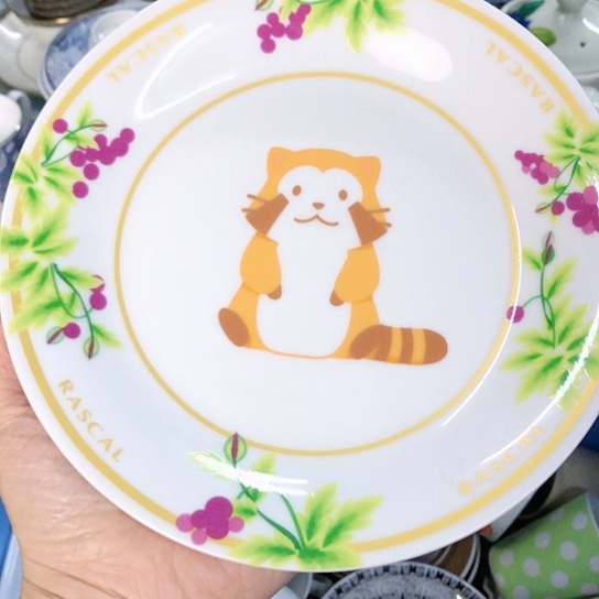 【闪购商品】瓷片瓷片瓷片瓷片
