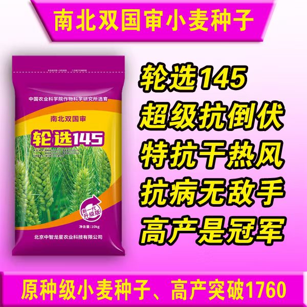 高产，抗病冠军，轮选145