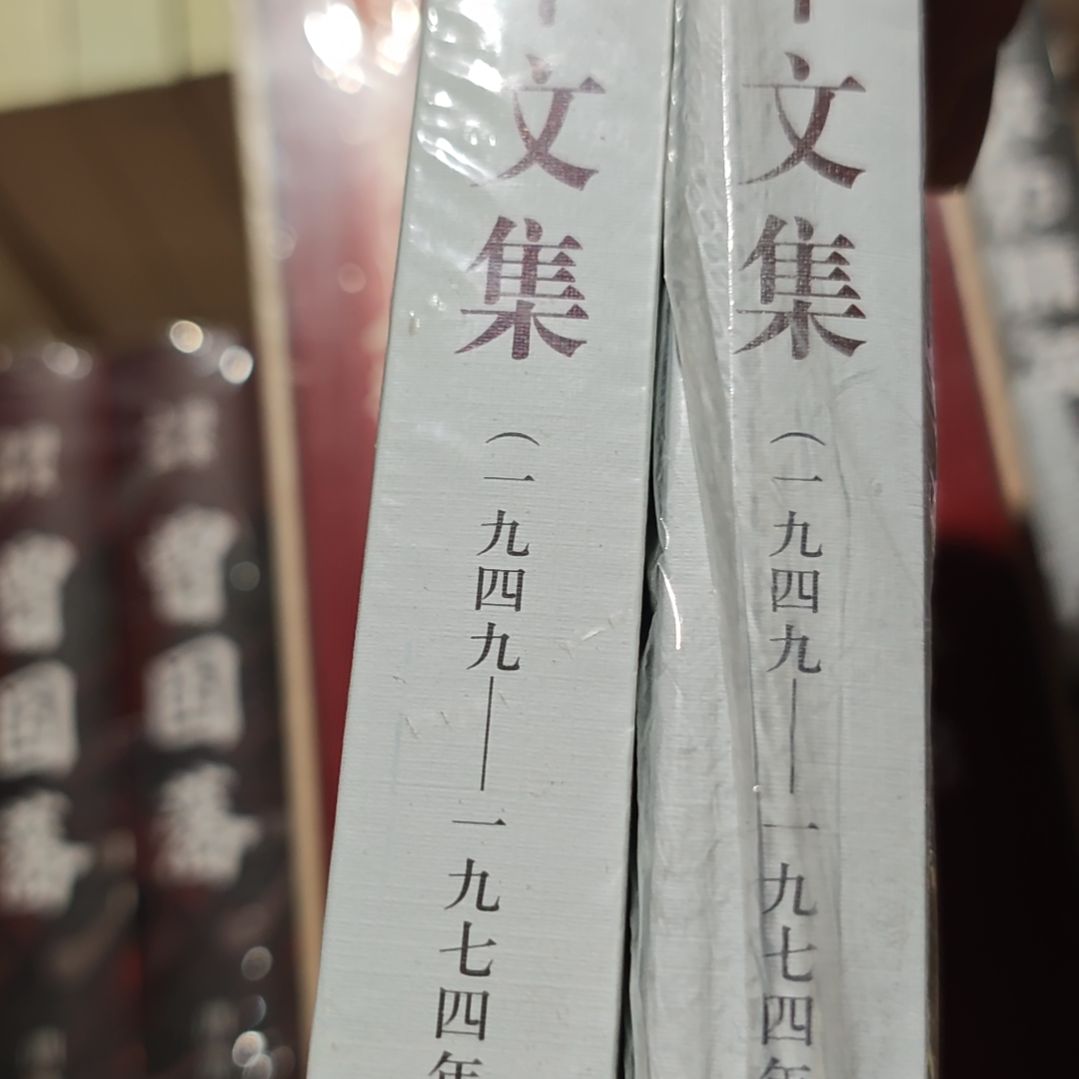 邓什么什么什么文集两本一套库存书14年版