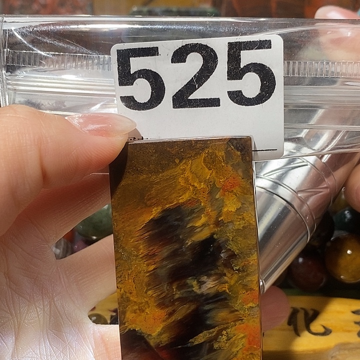 硅化玉未镶嵌天然北票树化玉