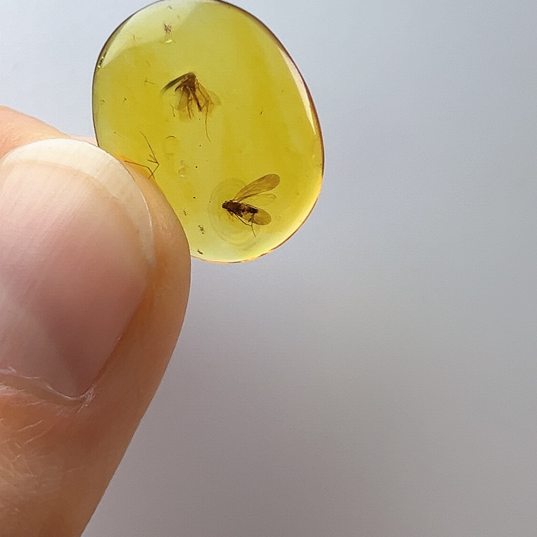 琥珀裸石未镶嵌琥珀虫珀