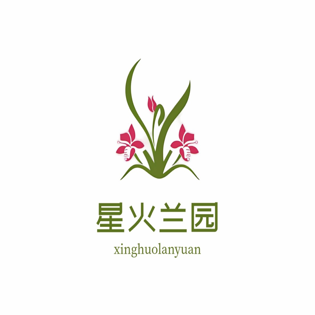 兰花临时购买2号链接