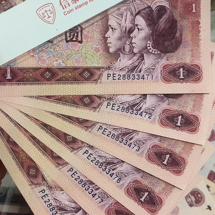 金龙王6张全新直板。。。。。。。。。。