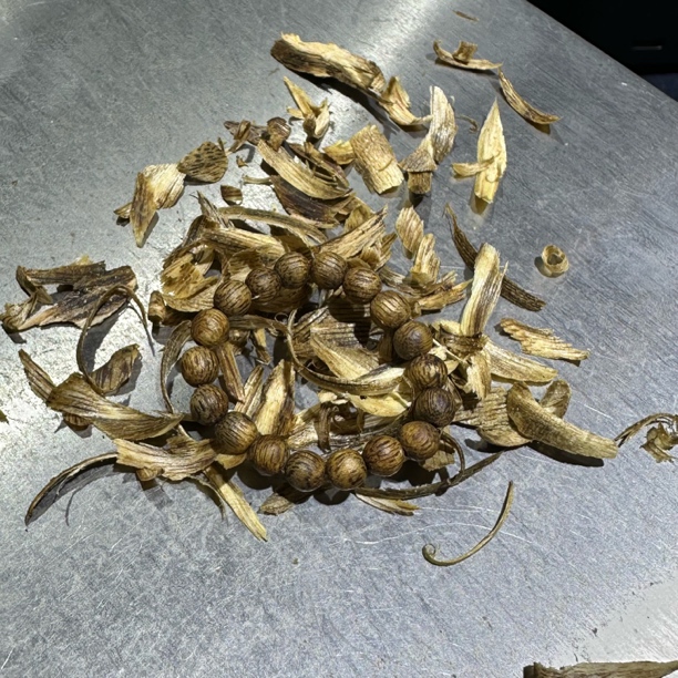 沉香奇楠沉香小指环