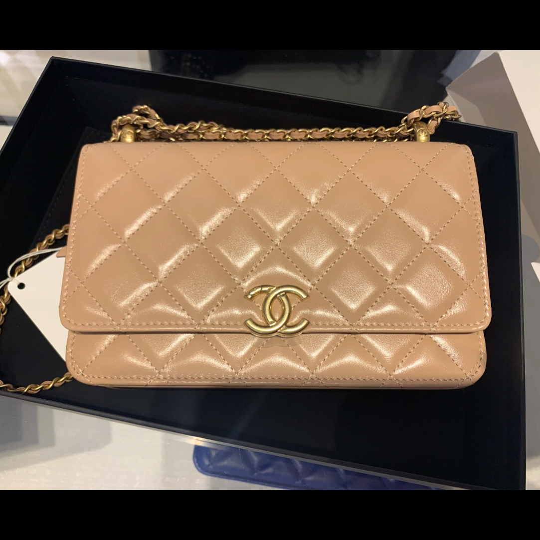 99新 Chanel/香奈儿 22山山//双金珠woc//专属