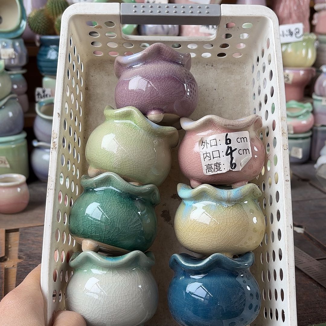 量货/4口高6深浅搭配发6