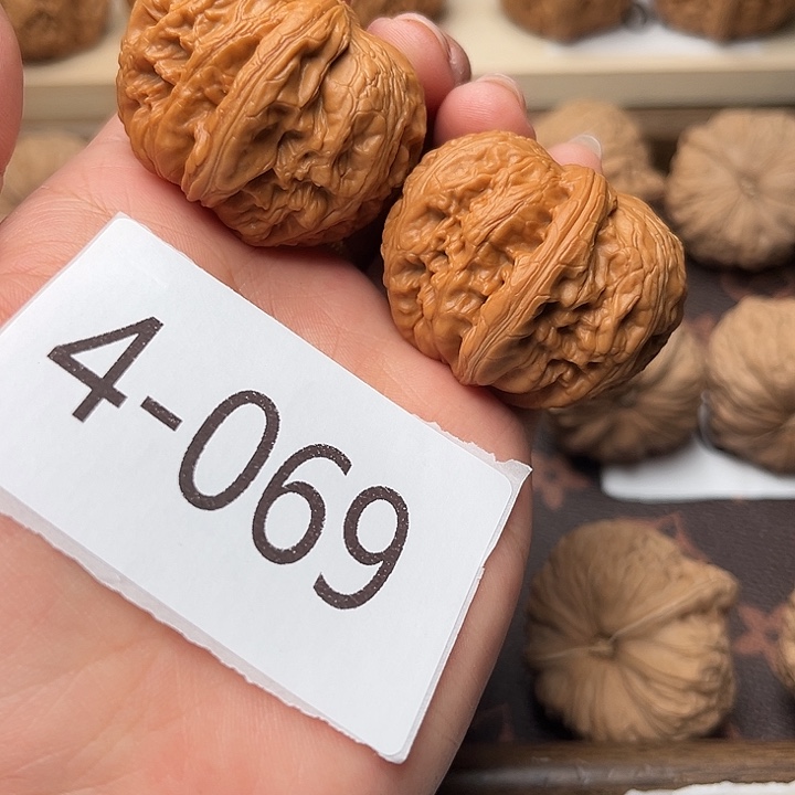 核桃41元宝福利对