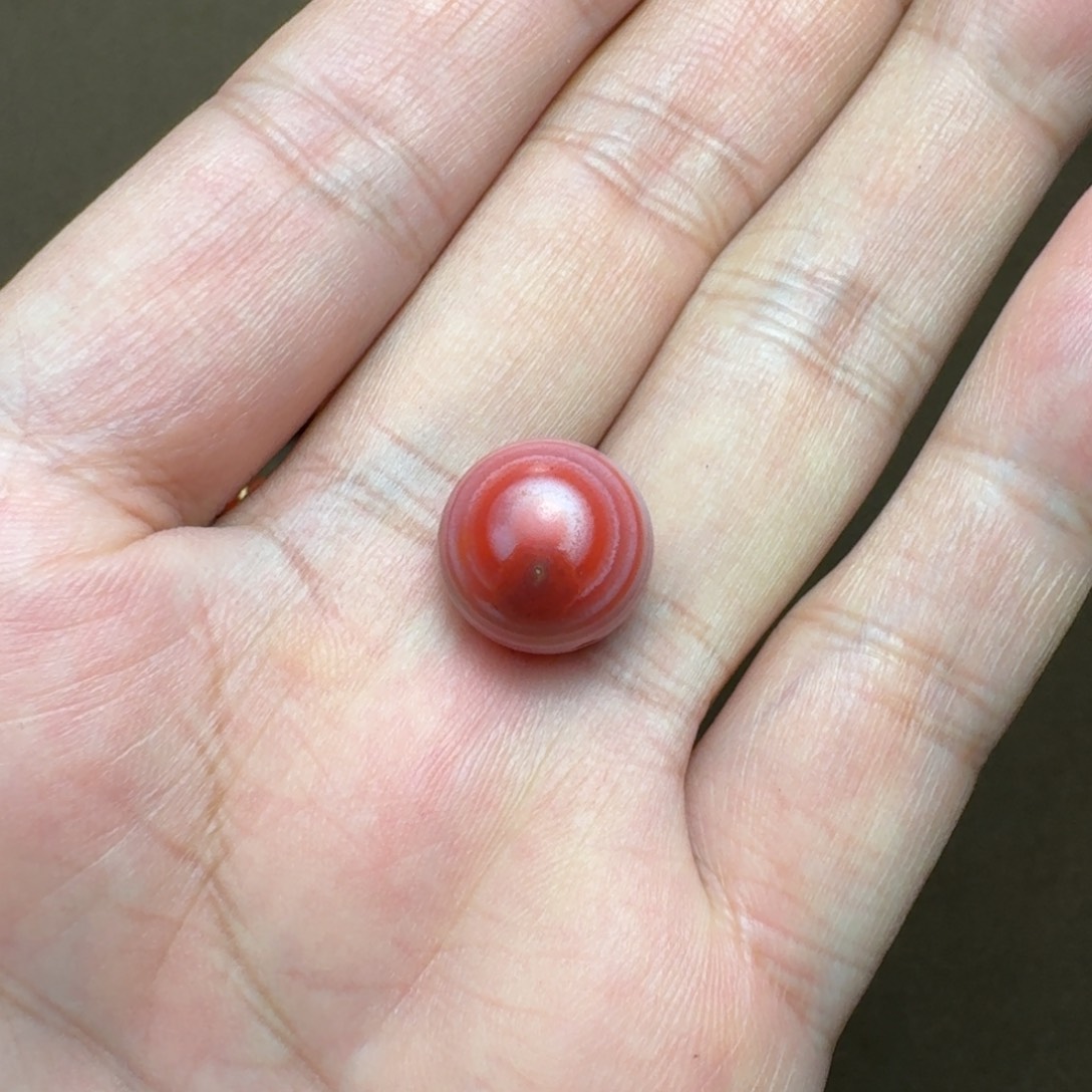 南红玛瑙未镶嵌颈饰