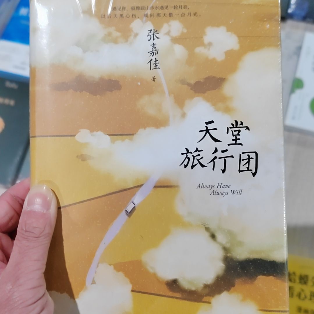 张嘉佳天堂旅行团