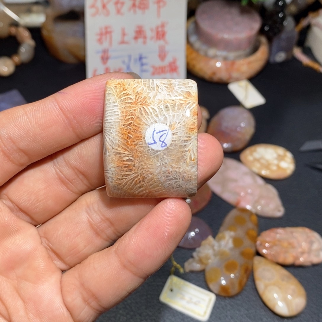 【闪购商品】硅化玉颈饰未镶嵌