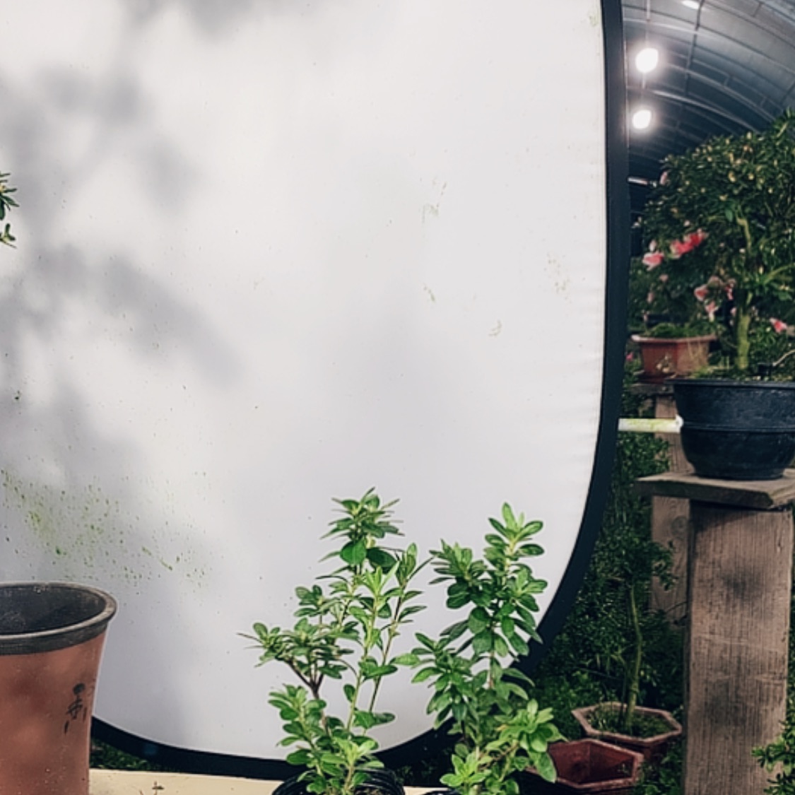 【闪购商品】完全开放源**长