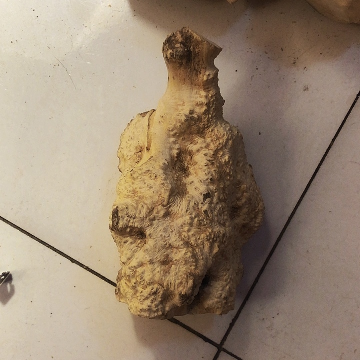 汪***海木木料木料木料他了